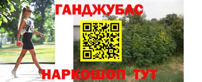 бошки Кингисепп