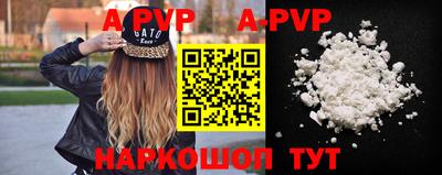 бошки Кингисепп