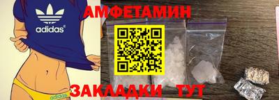 бошки Кингисепп