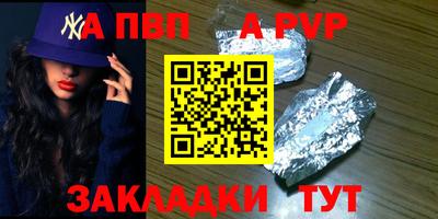 бошки Кингисепп